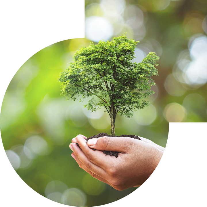 关怀人类、文化、环境与社会